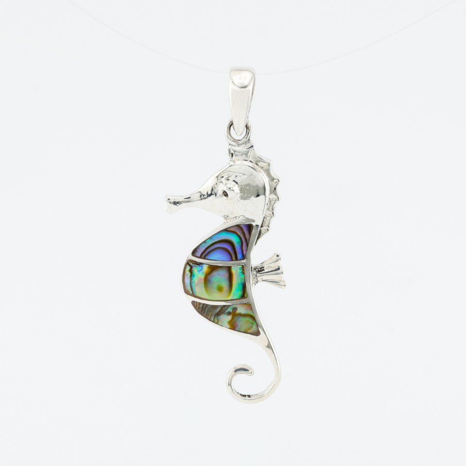 Sea horse Multicolor
