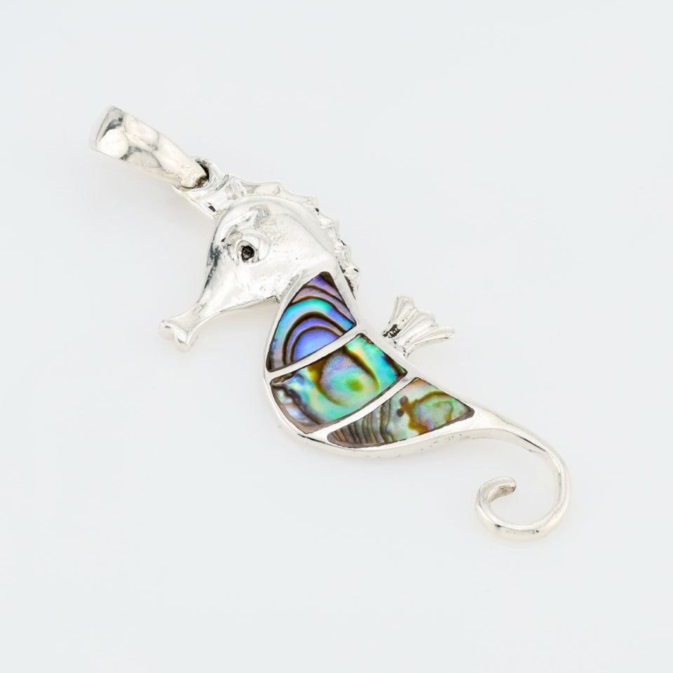 Sea horse Multicolor